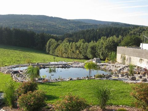 Foto 50